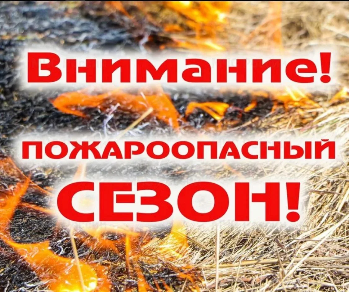 ❗️Соблюдайте правила пожарной безопасности в пожароопасный период
