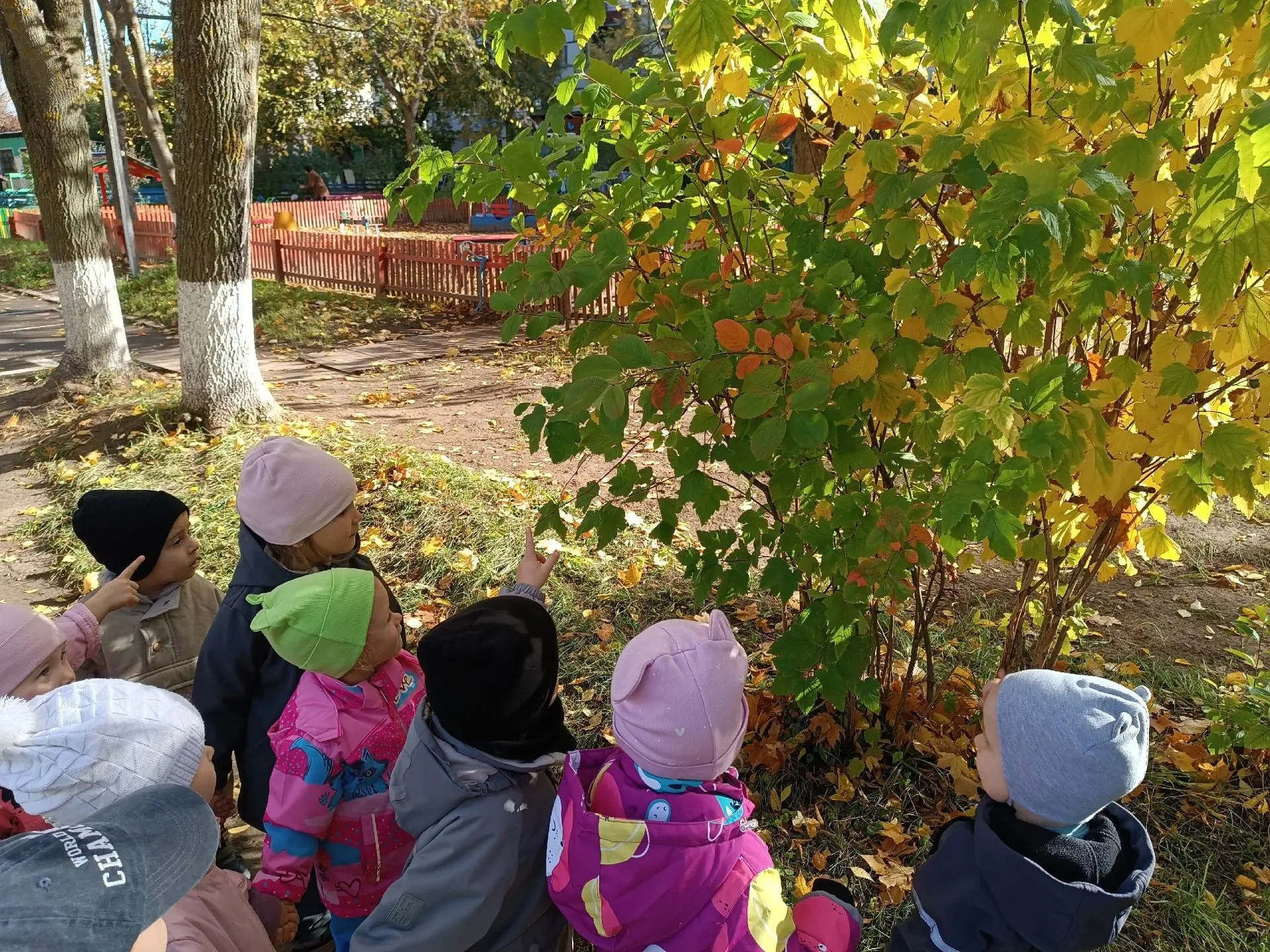 Осенняя прогулка: наблюдаем за природой вместе с малышами! 🍂