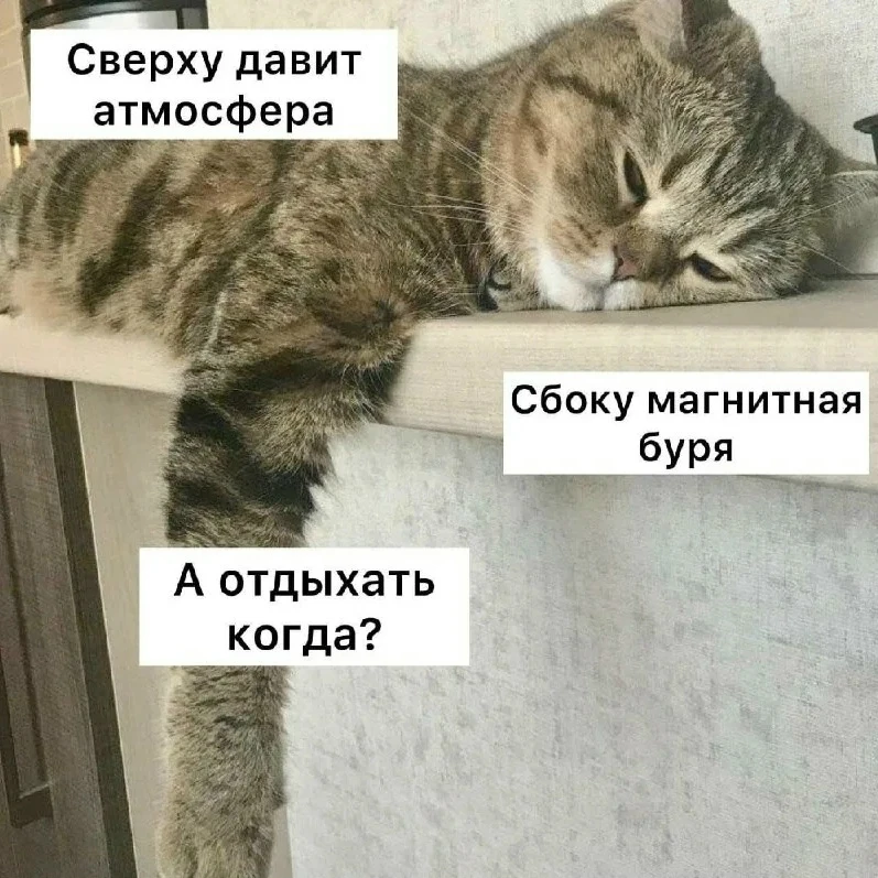 ⚡️ В пятницу синоптики обещают магнитные бури. Так что если вы вдруг почувствуете себя ...