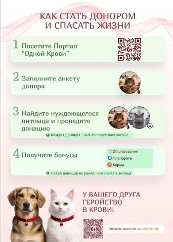 Государственный комитет Республики Башкортостан по ветеринарии информирует, что с 5 авг...