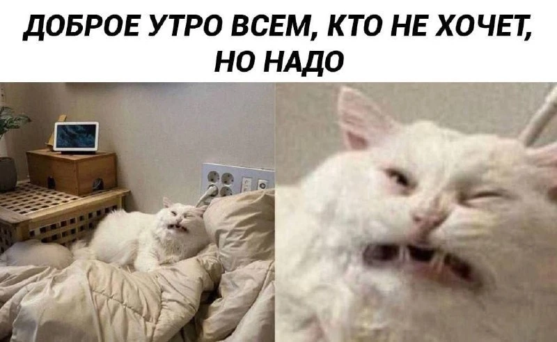 Доброе утро ☕️