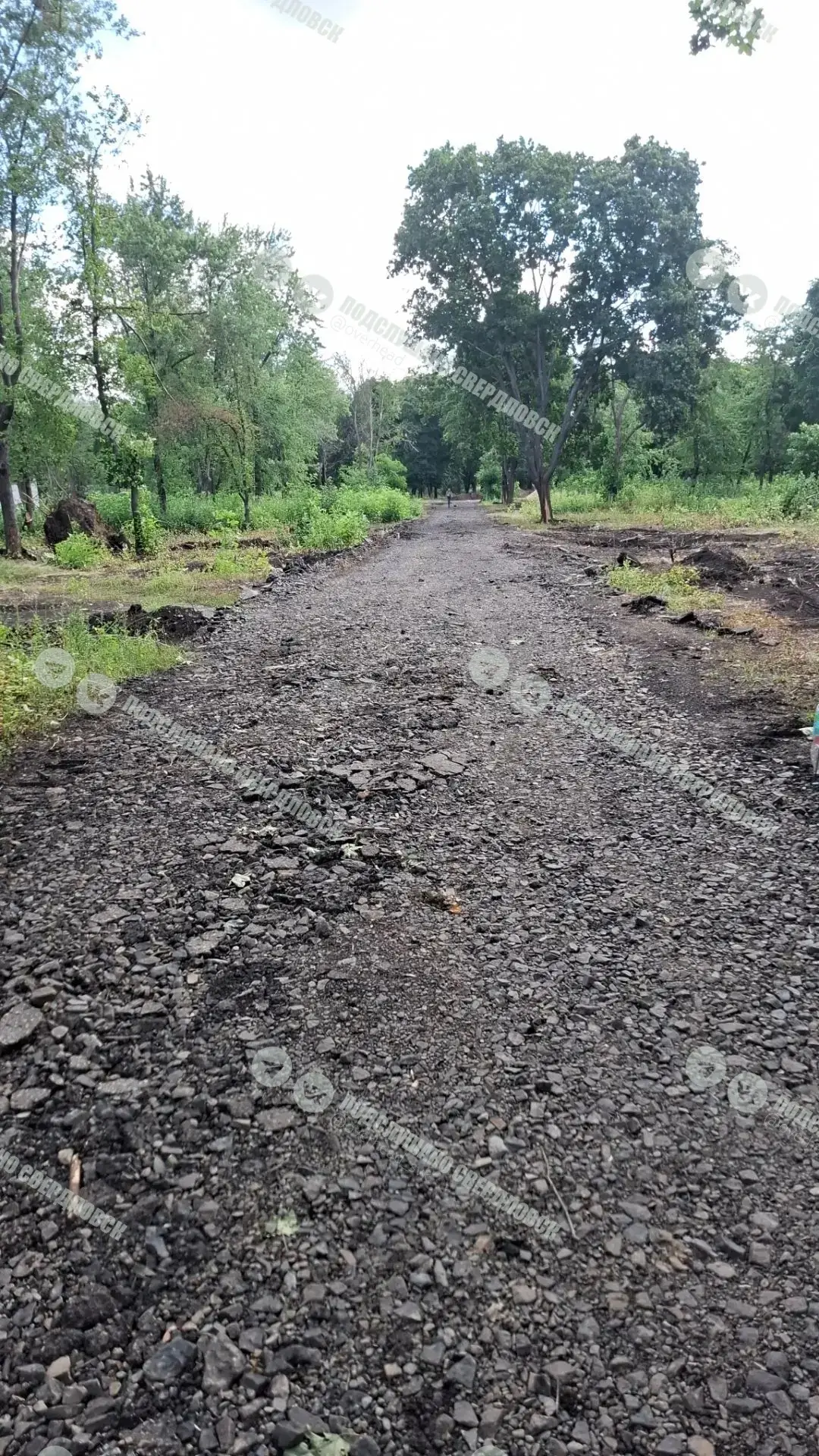 Вот такие преобразования в нашем парке, полностью сняли асфальт, ходить, конечно, крайне некомфортно