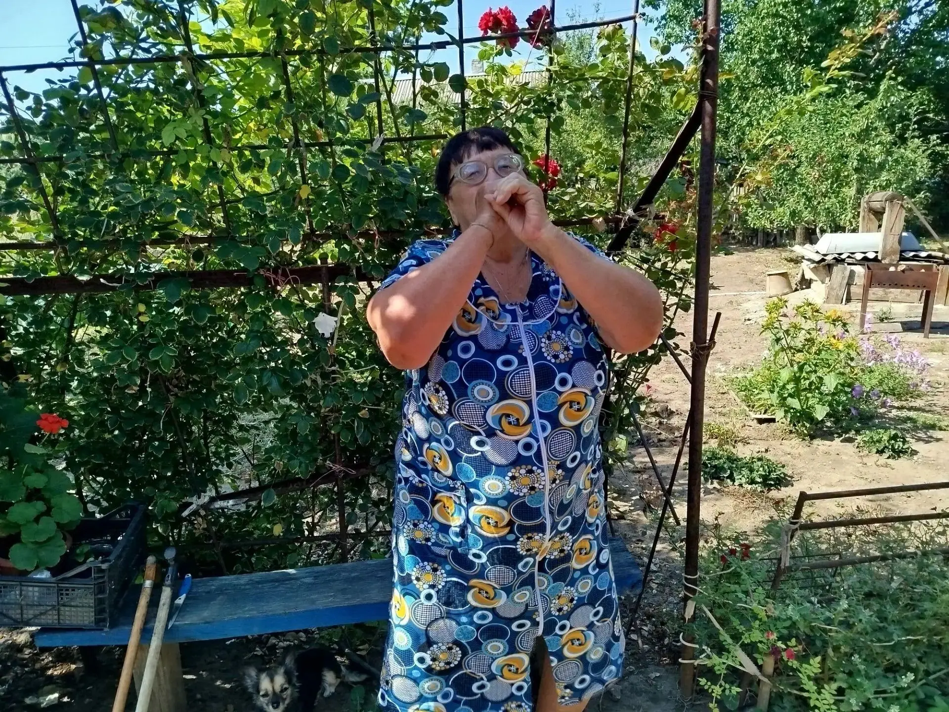 Дыхательная гимнастика по А.Н.Стрельниковой