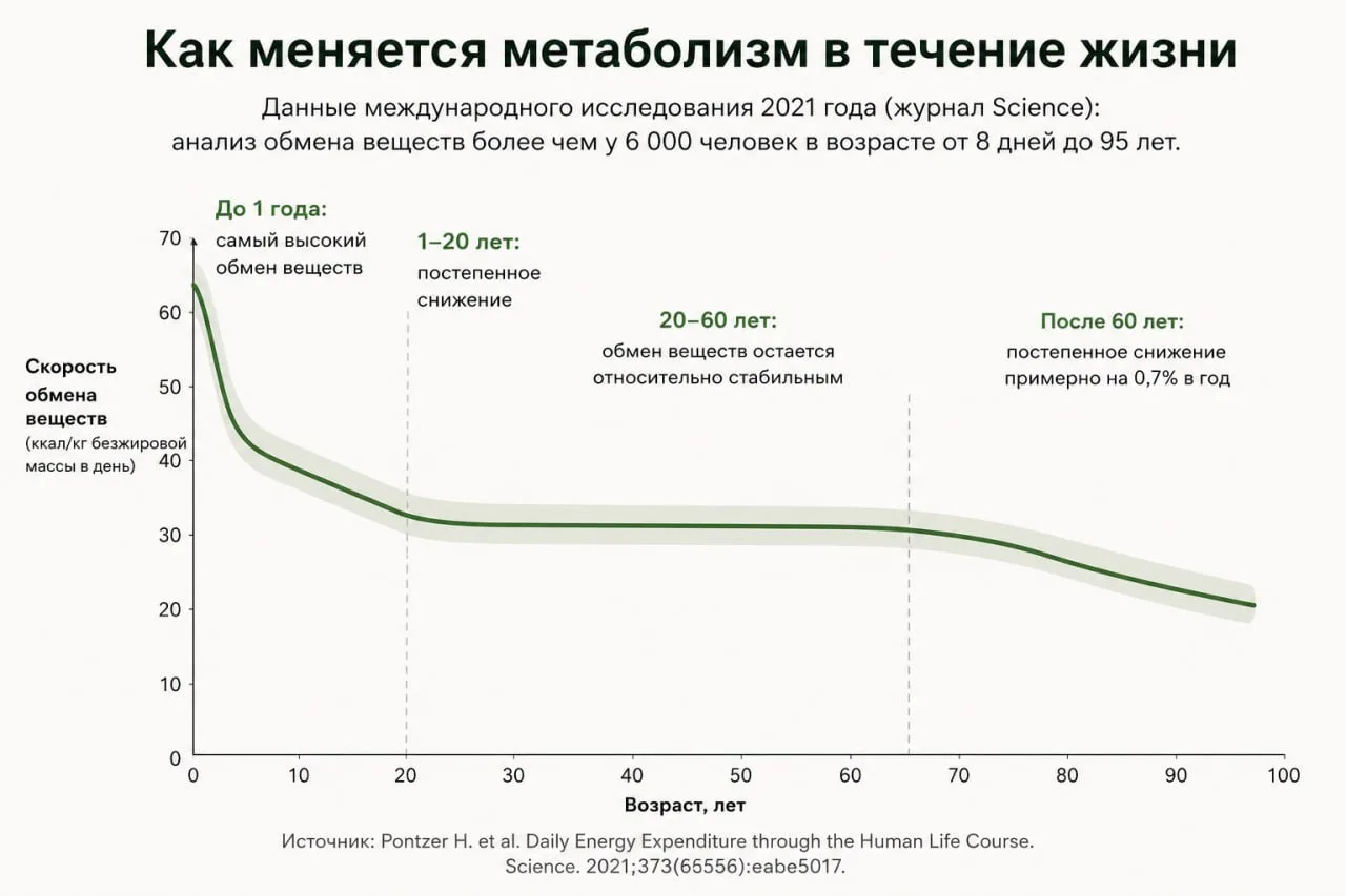 После 40 метаболизм действительно замедляется?
