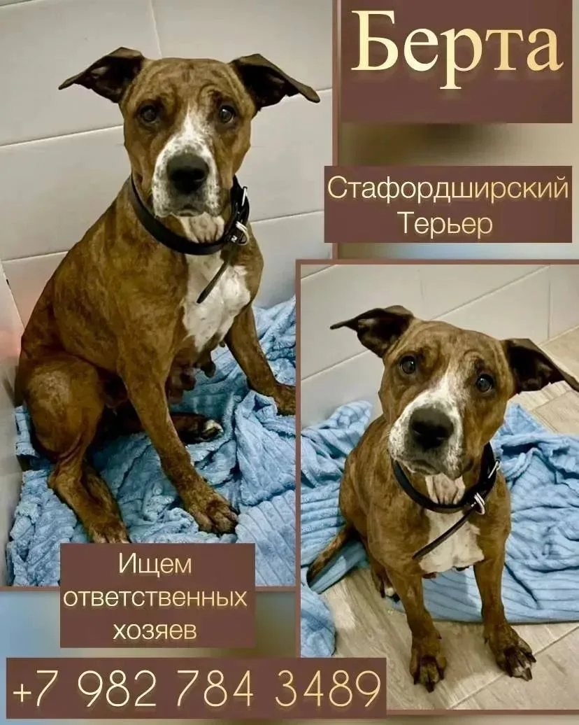 ______________________
Присоединяйтесь!

Калининский район в МАХ
Дом Обороны в МАХ
Добрые новости Тю