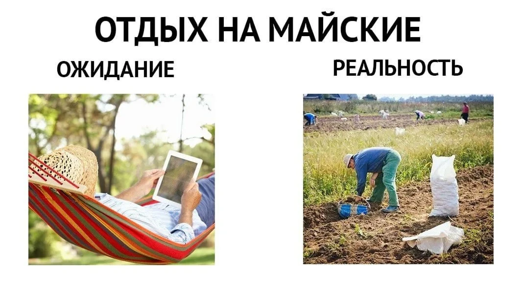 📲Вечерний чат
