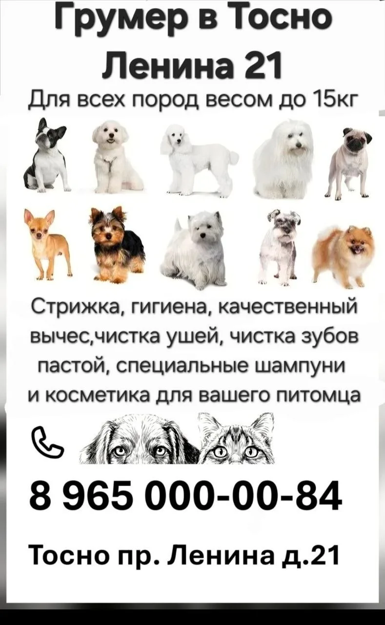 Грумер в Тосно, ул.Ленина д.21
89650000084 https://vk.ru/club237889115