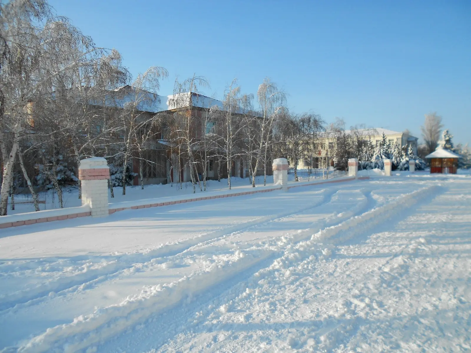 Присылайте Ваши фото в "Предложить пост"