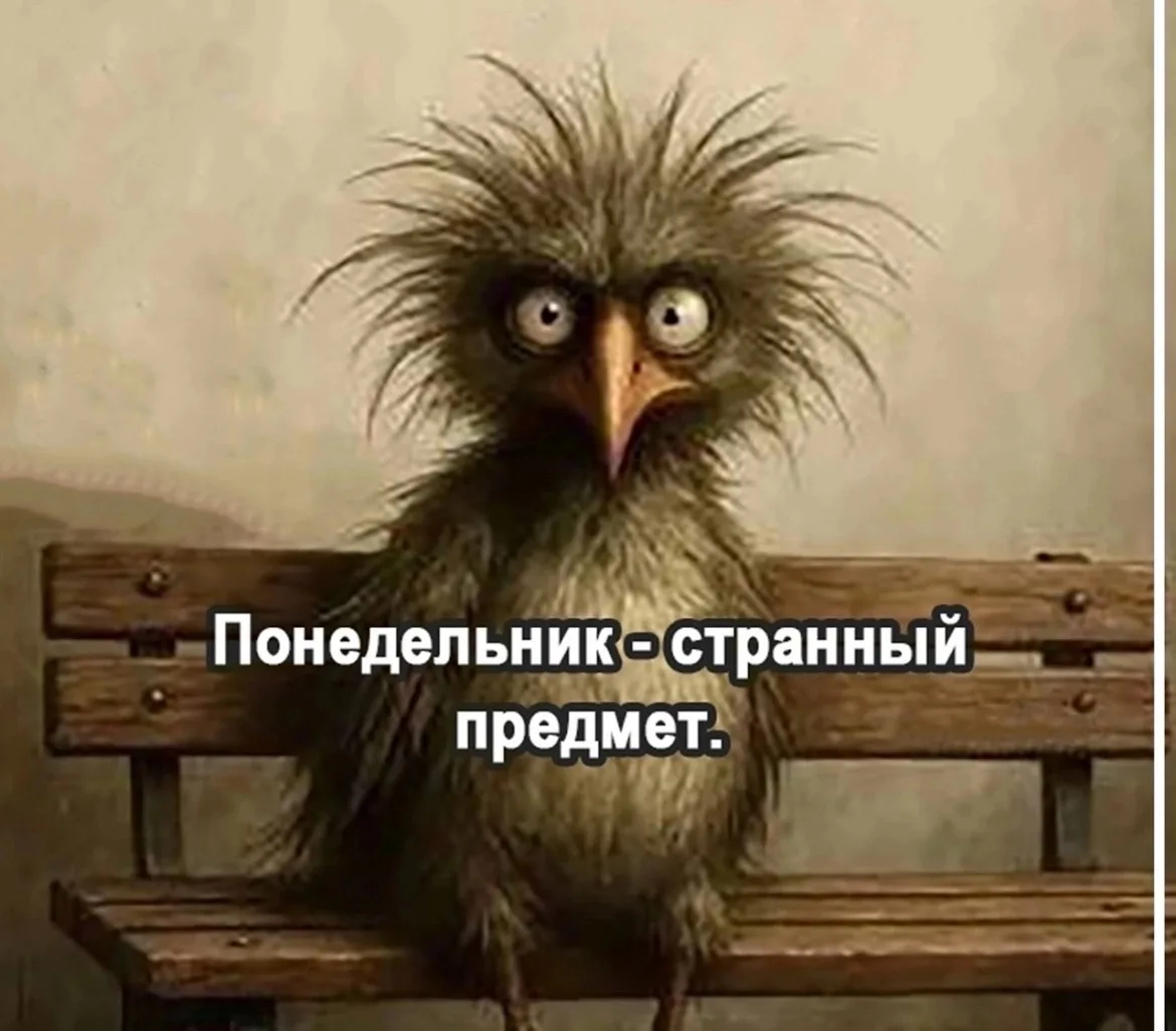 С добрым утром понедельника!