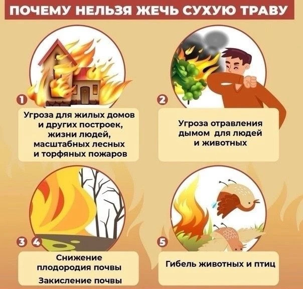 Не жгите мусор на своих садовых и дачных участках. Не сжигайте мусор вблизи леса и лесных насаждений
