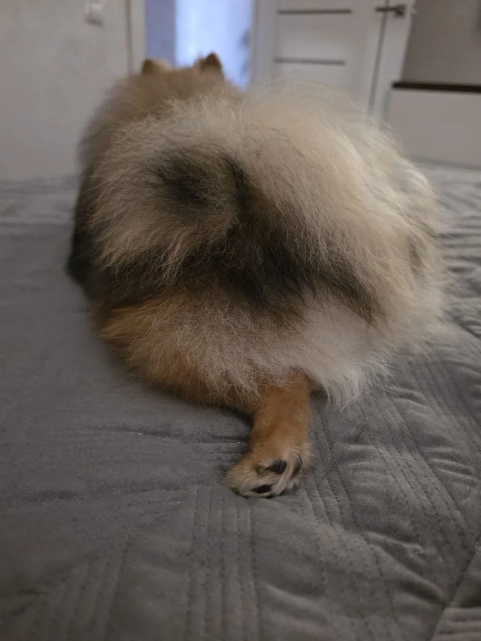 Доброе утро 🍑🌻
