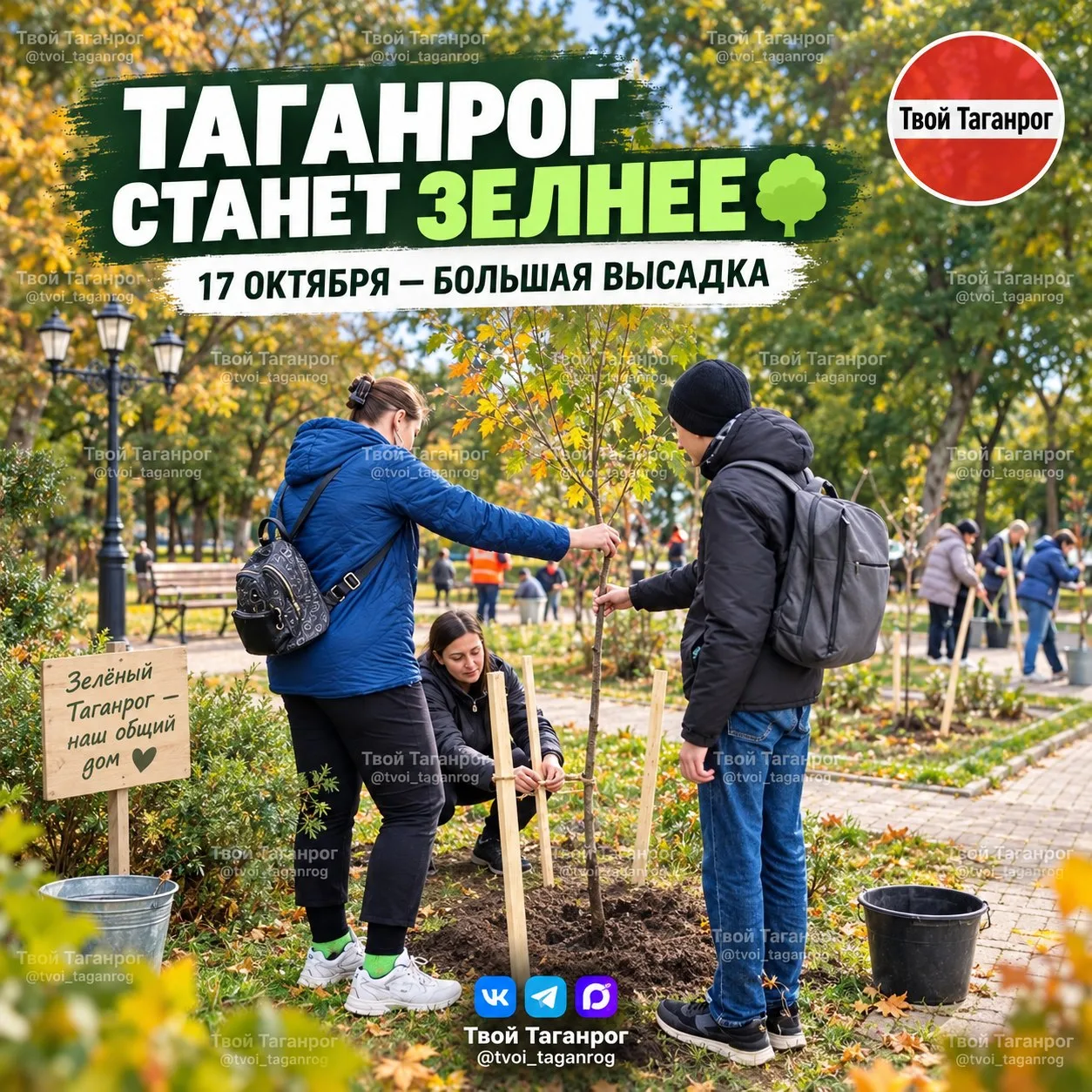 🌳 Таганрог станет зеленее: за один день высадят более 560 деревьев и кустарников