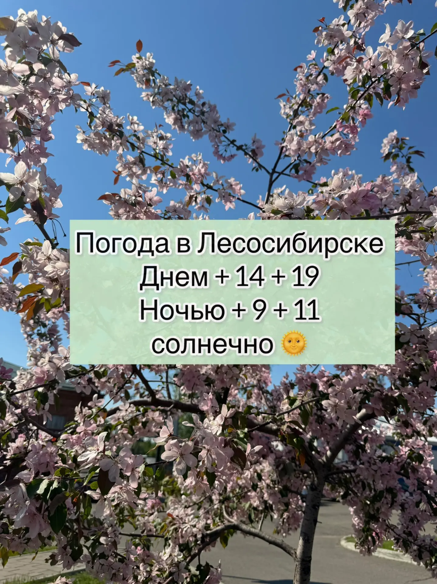 🔆Доброе утро , друзья! 
Июнь — это месяц, когда лето только набирает силу, а природа и люди полны о