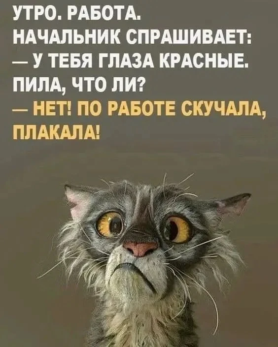 Хиханьки Да Хаханьки • подписаться