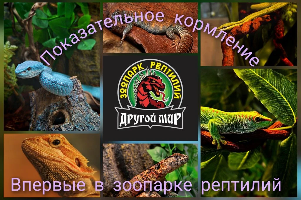 ❗️НЕ ПРОПУСТИ❗️