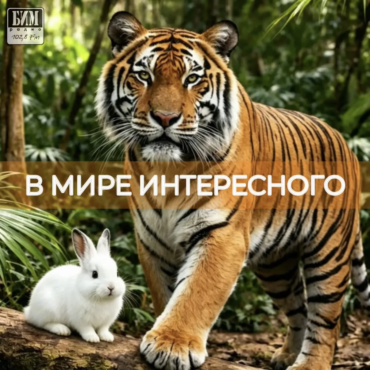 В МИРЕ ИНТЕРЕСНОГО