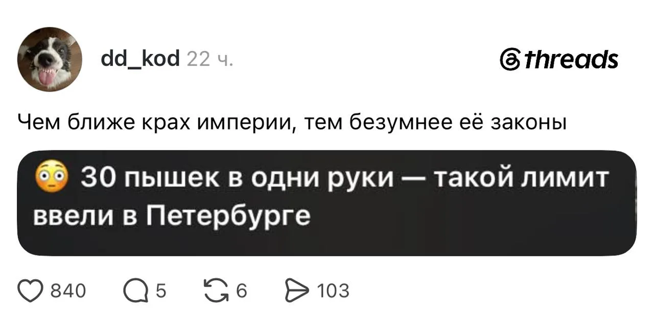 Петербуржцы, держитесь 🙏