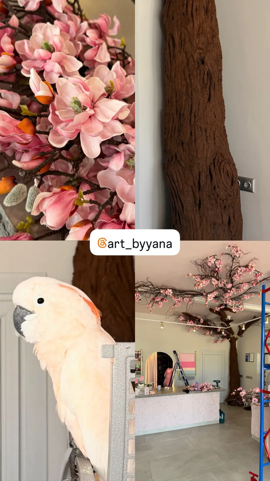 Фото