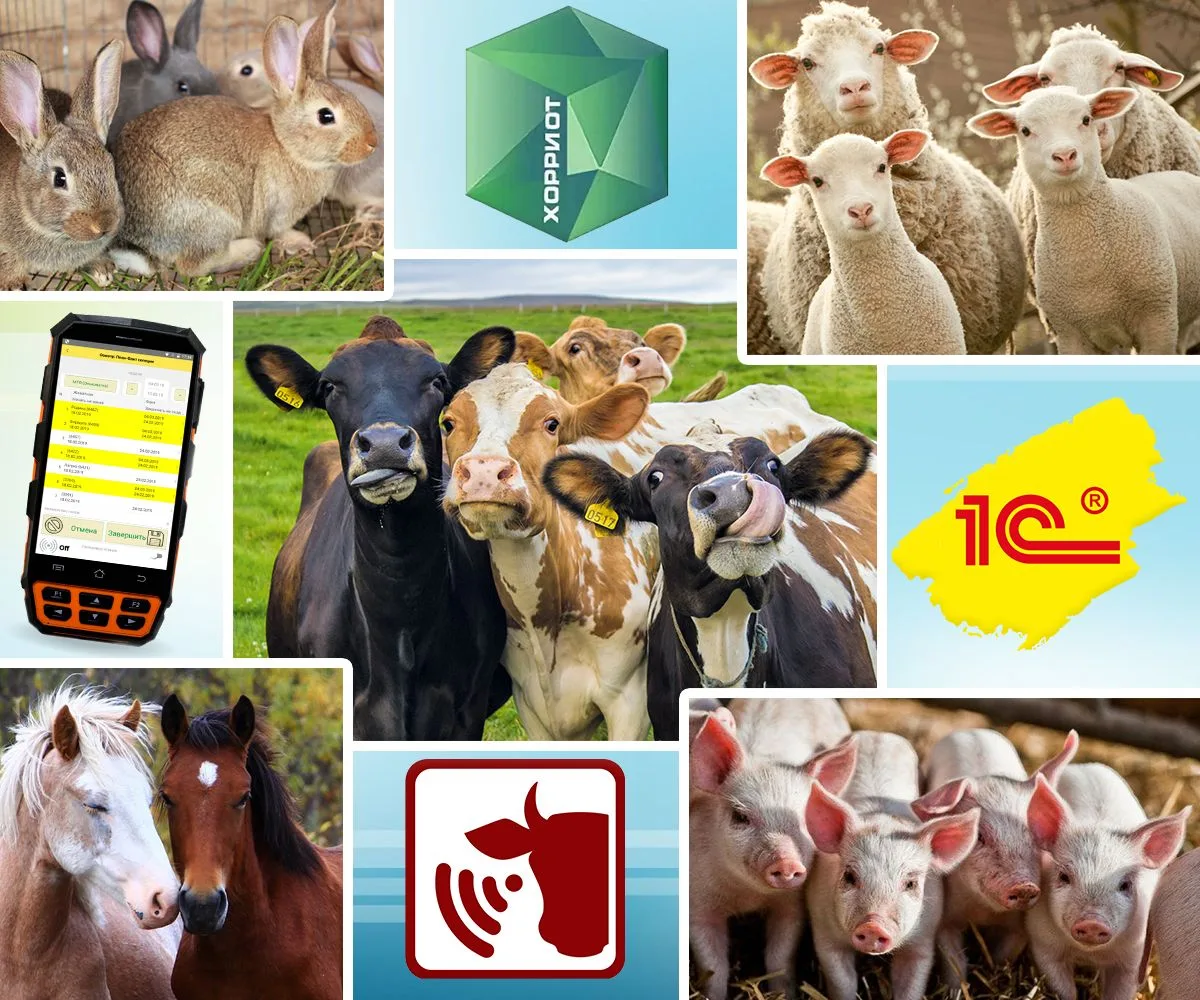 🐶🐴🐄 Уважаемые жители! Забота о здоровье наших животных – наша общая ответственность!...