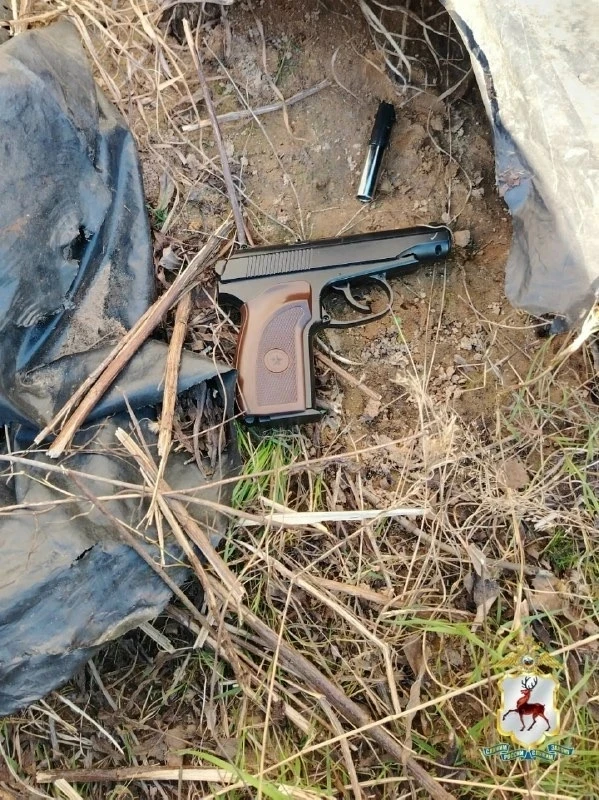 🔫 Игрушечный пистолет стал орудием преступления на Бору   Между 32-летней борчанкой и её бывшей свек