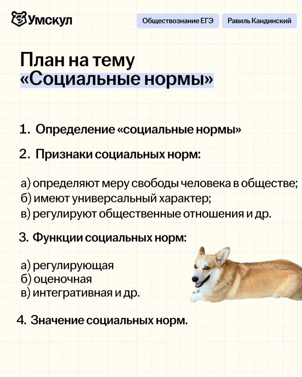 забирайте готовый план на тему «Социальные нормы»