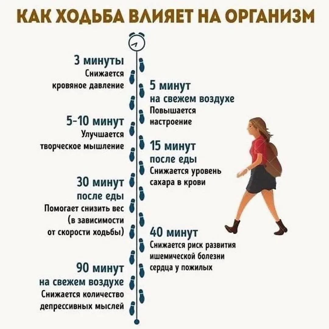 ⚕️Как ходьба влияет на организм

Если было полезно, оставьте реакцию 👇

Здоровье