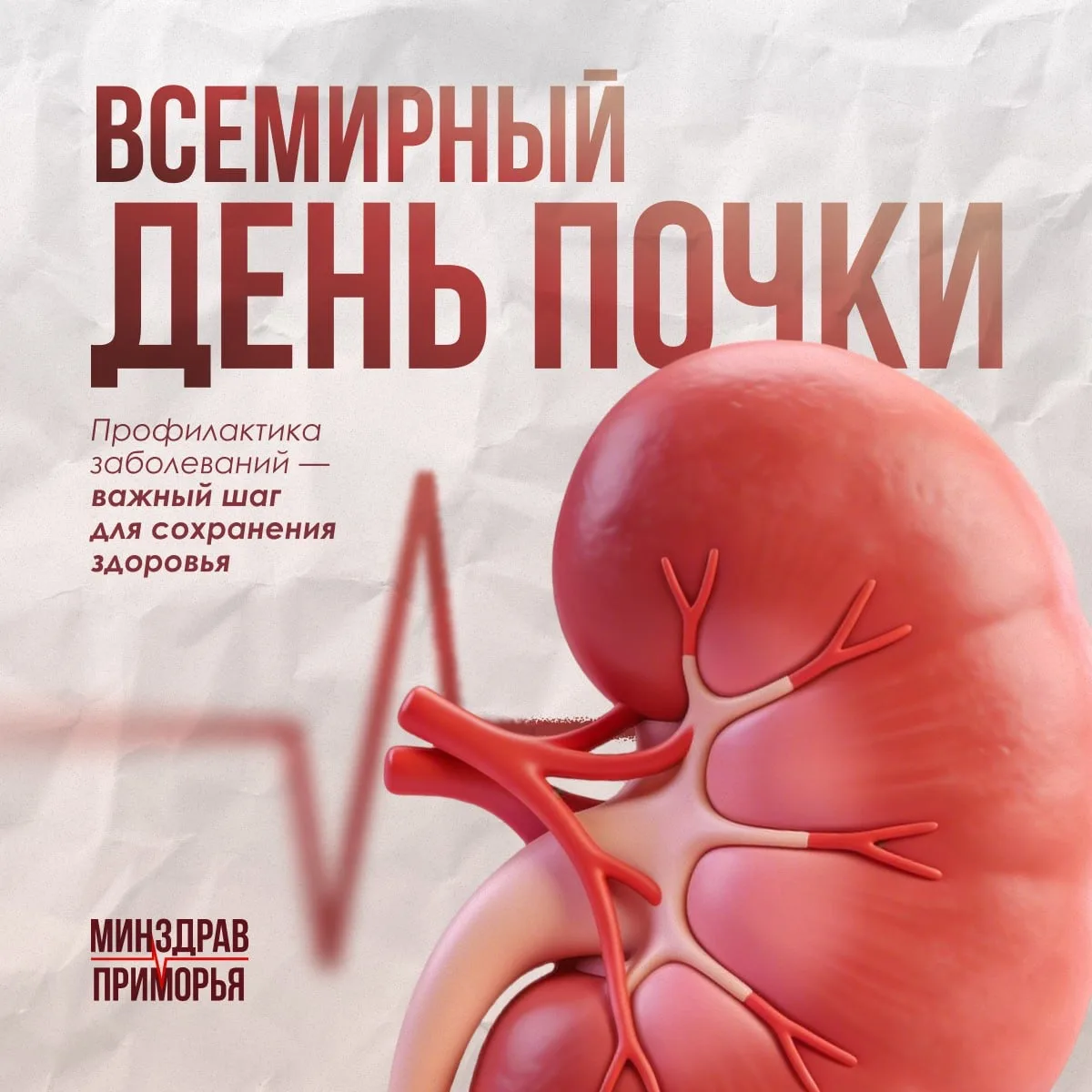Всемирный день почки — хороший повод напомнить о том, какую важную работу ежедневно вып...