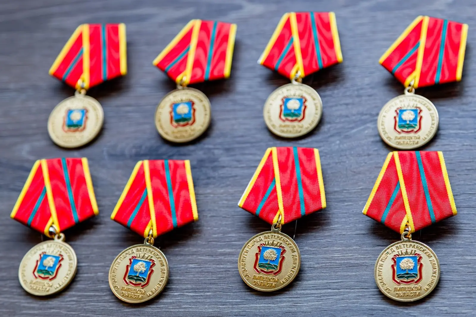 Губернатор Липецкой области Игорь Артамонов наградил лучших представителей Липецкого от...