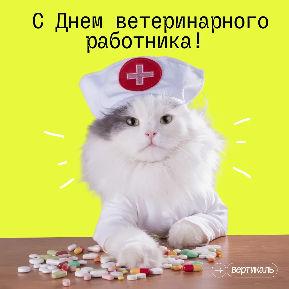🩺 Тем, кто лечит тех, кто не может сказать «спасибо».