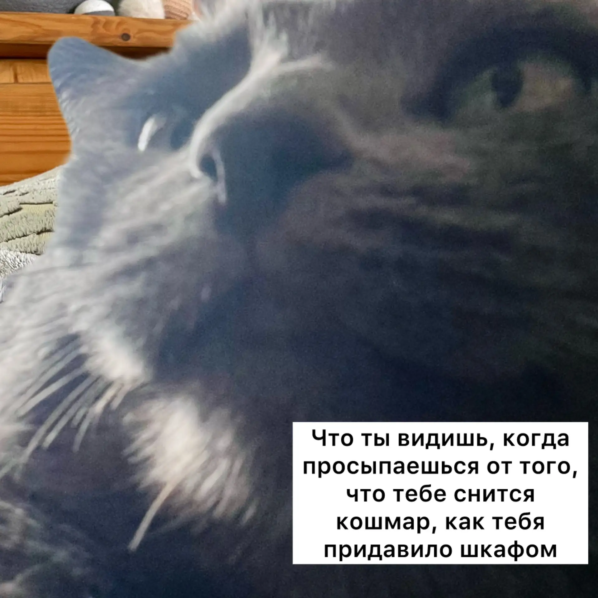 Да не ври, те такая уж я и тяжелая😼