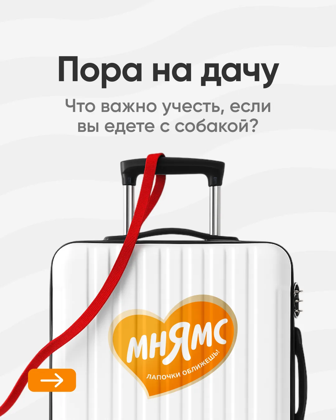 Пост для тех, кто уже на низком старте на дачу с собакой 👒