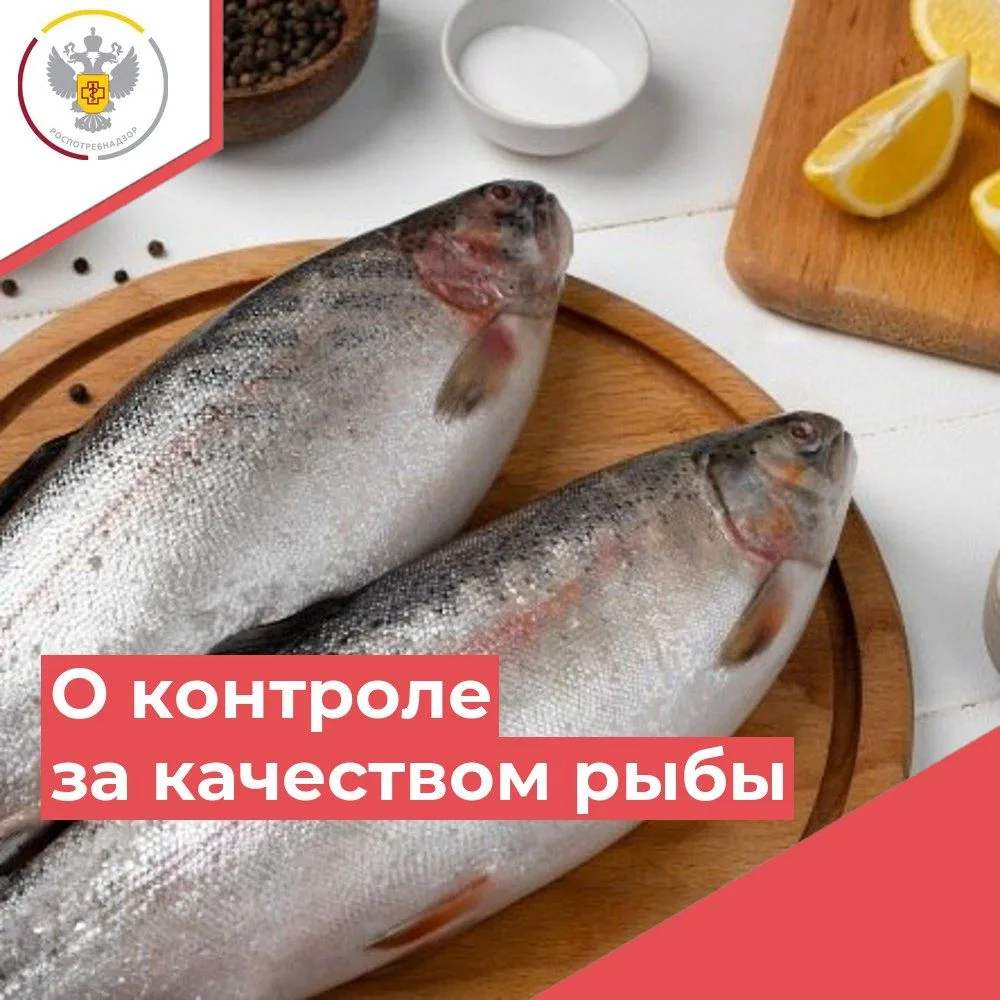 Изображение 1 к публикации «Роспотребнадзор. Калининградская область»
