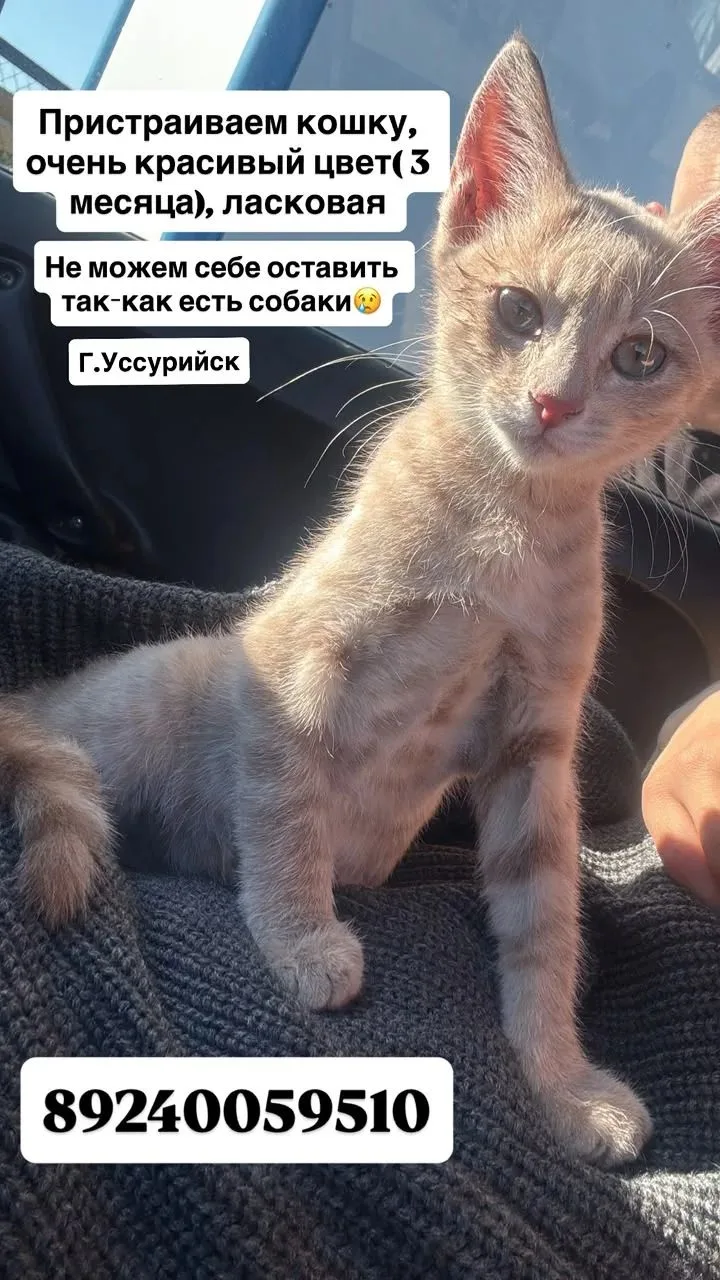 УССУРИЙСК.