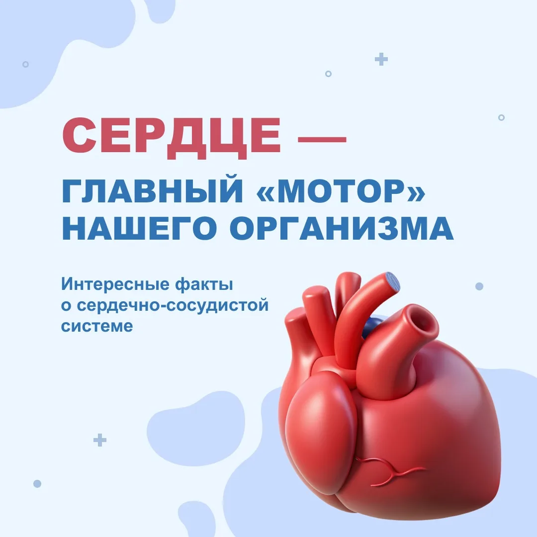 Сердце — один из самых трудолюбивых органов в нашем теле, у которого немало своих удиви...