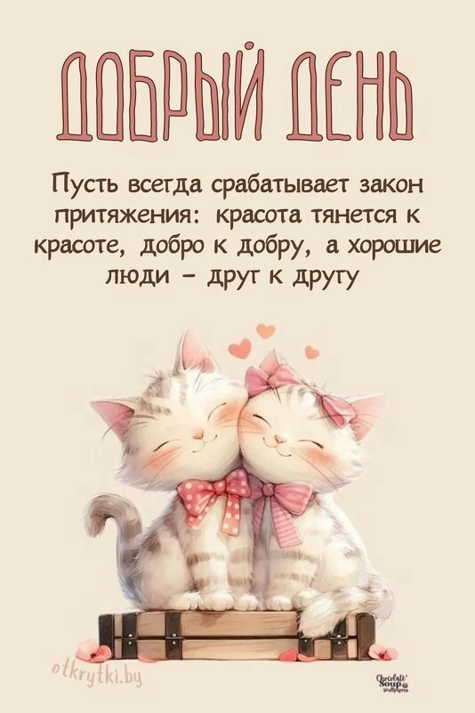 🌺🩷🌺🩷