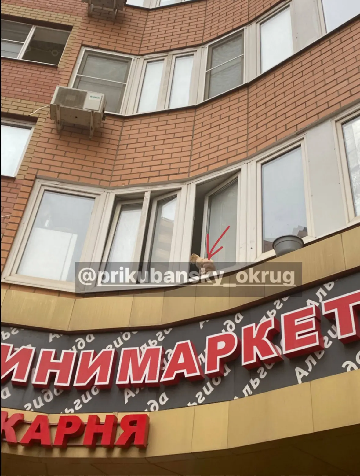 от соседей: