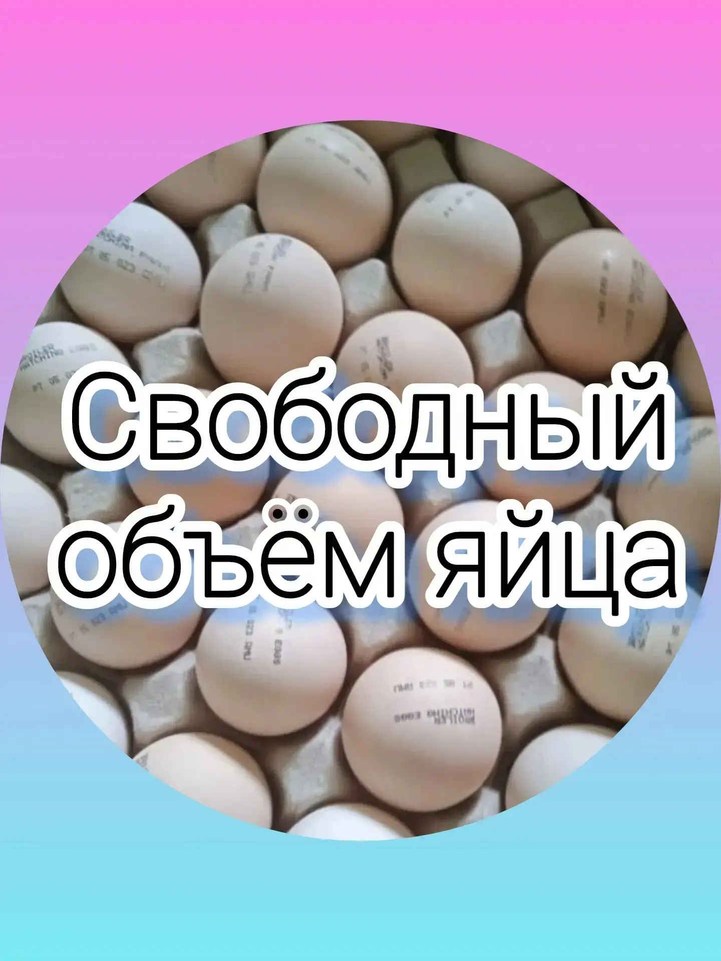 Ближайшая доставка инкубационного яйца

 БРОЙЛЕР
КОББ 500
РОСС 308

ПЕРЕПЕЛ 
СУПЕР ТЯЖ

НЕСУШКА 
БОР