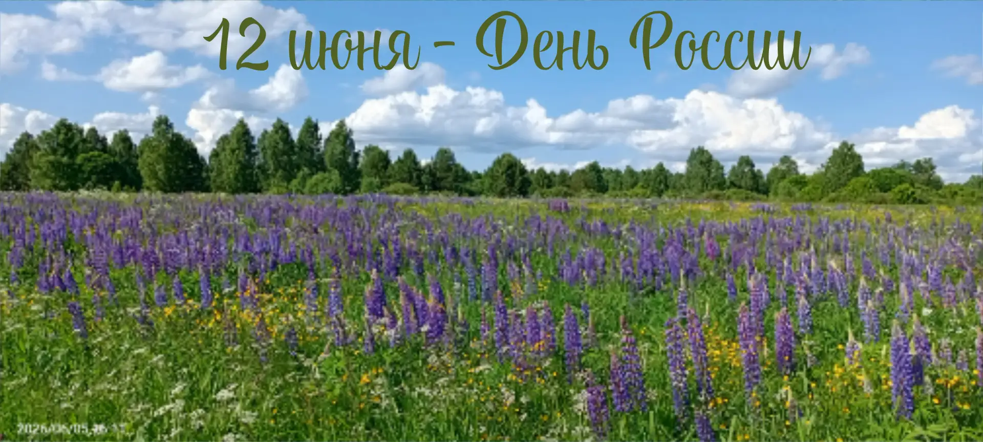 Гой ты, Русь, моя родная,
Хаты — в ризах образа…
Не видать конца и края— 
Только синь сосет глаза.
К