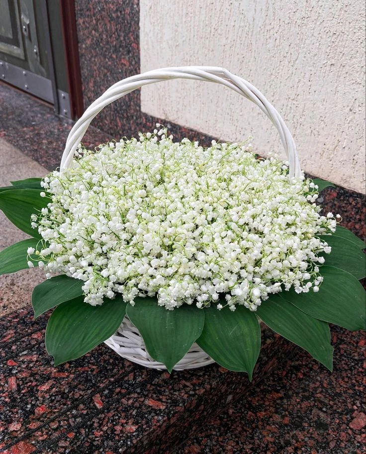 Всем привет ✨