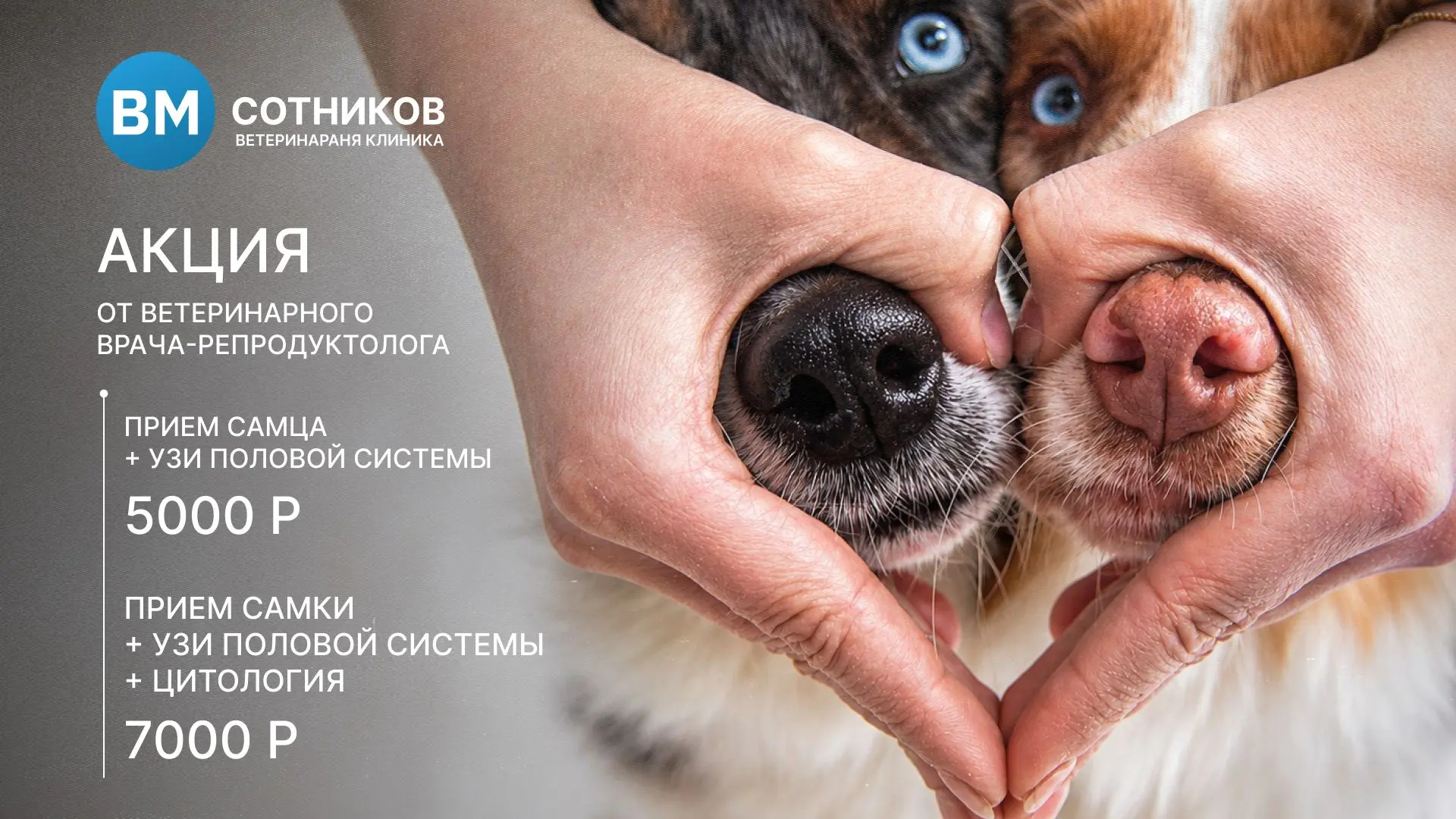 Специальная цена в ветеринарной клинике доктора Сотникова