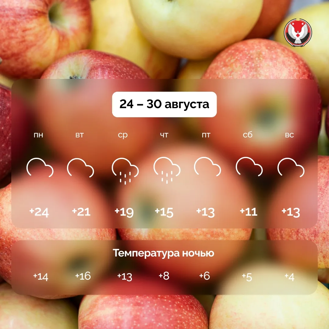 Планы погоды на эту неделю такие