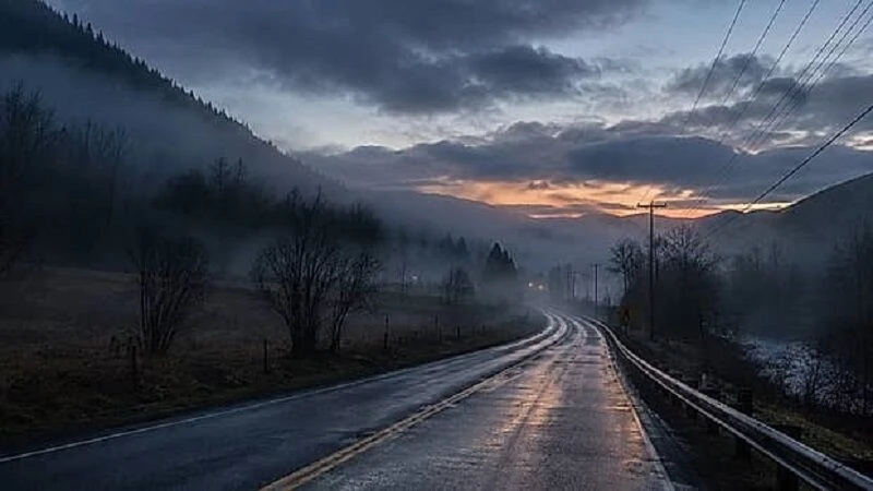 ⛈️ В Башкирии сохранится дождливая, но теплая погода