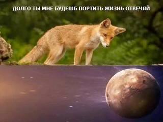 Я тут закончила оформлять страницу сайта для Клуба и поняла одну важную вещь. Мне там н...