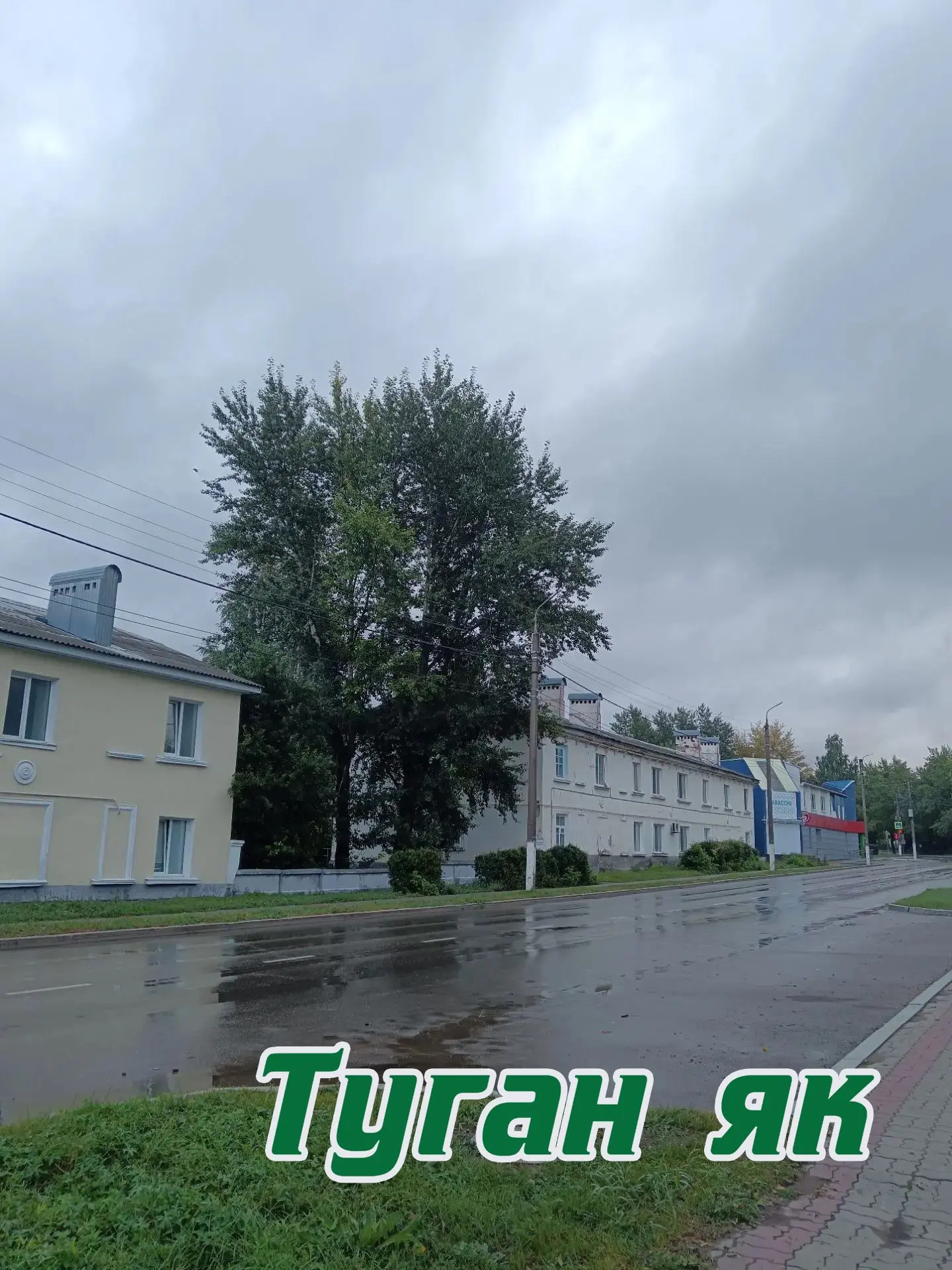 💫Хәерле иртә, дуслар!