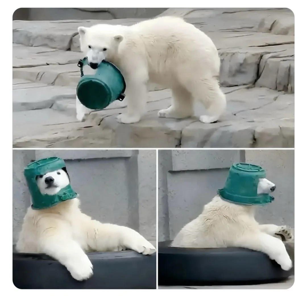 Не знаю, к чему он готовился, но он готов!