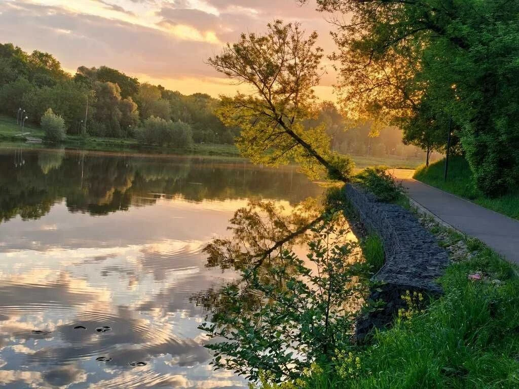 Нашли гармонию в тишине парка Кузьминки.