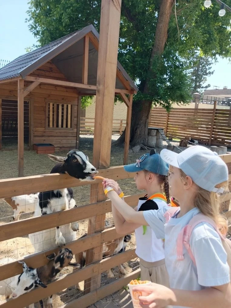 Увлекательное путешествие к альпакам! 🦙 ☀    Сегодня 1 "З" класс отправился на экскурсию в парк альп