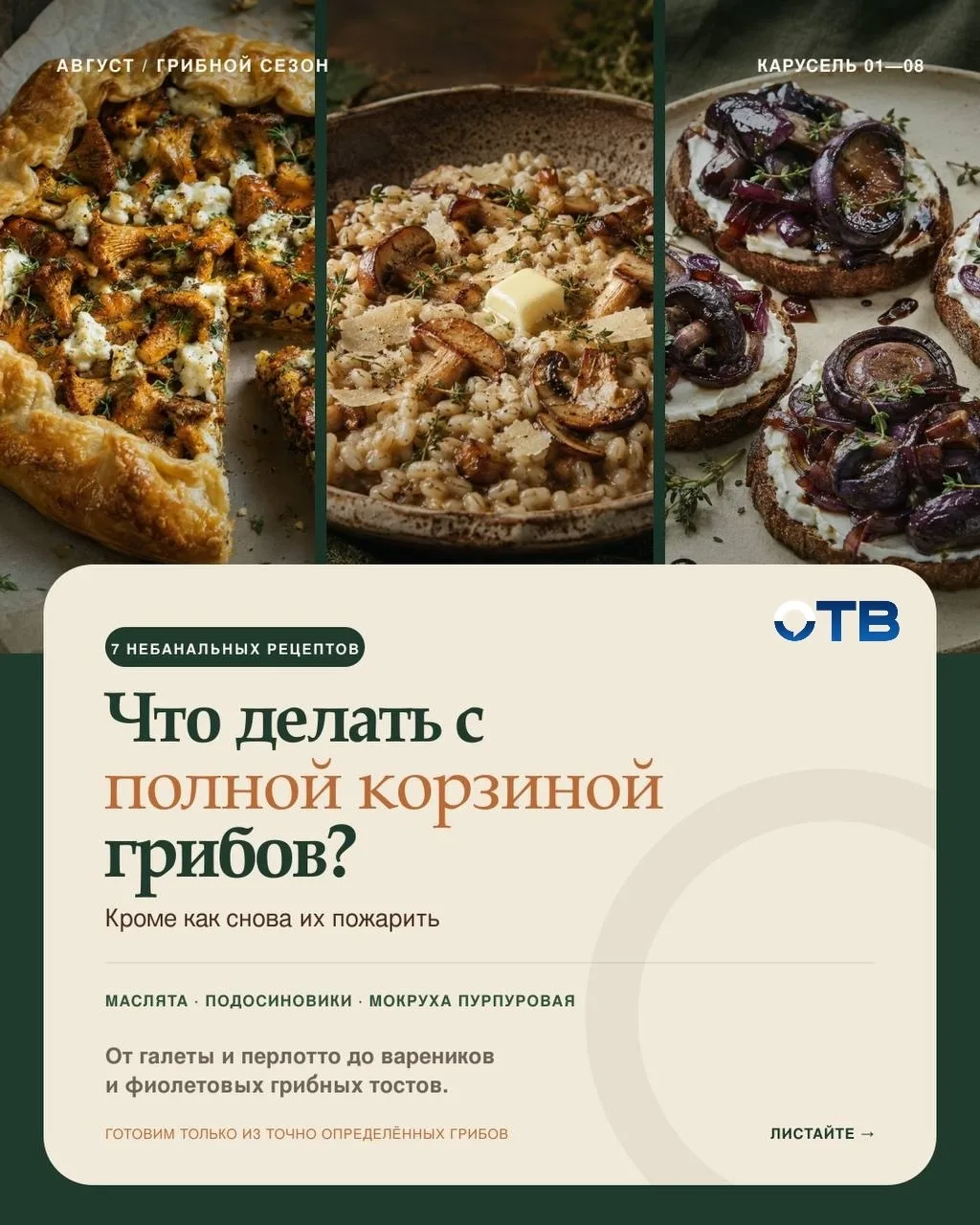 Что делать с полной корзиной грибов — кроме как снова их пожарить?

Грибники рассказывают: к лисичка