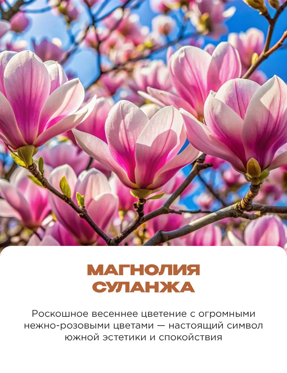 Дышите полной грудью