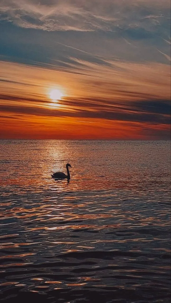 Только не говори, что ты не поставишь здесь лайк! 🌅😍❤️